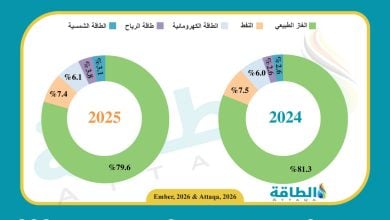 Photo of مزيج الكهرباء في مصر 2025.. الغاز يتراجع والطاقة المتجددة تقفز