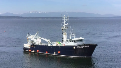 Photo of أول شحنة نفط عراقي تعبر مضيق هرمز منذ حرب إيران.. أين تتجه؟