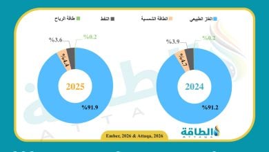 Photo of مزيج توليد الكهرباء في سلطنة عمان خلال 2025 (إنفوغرافيك)