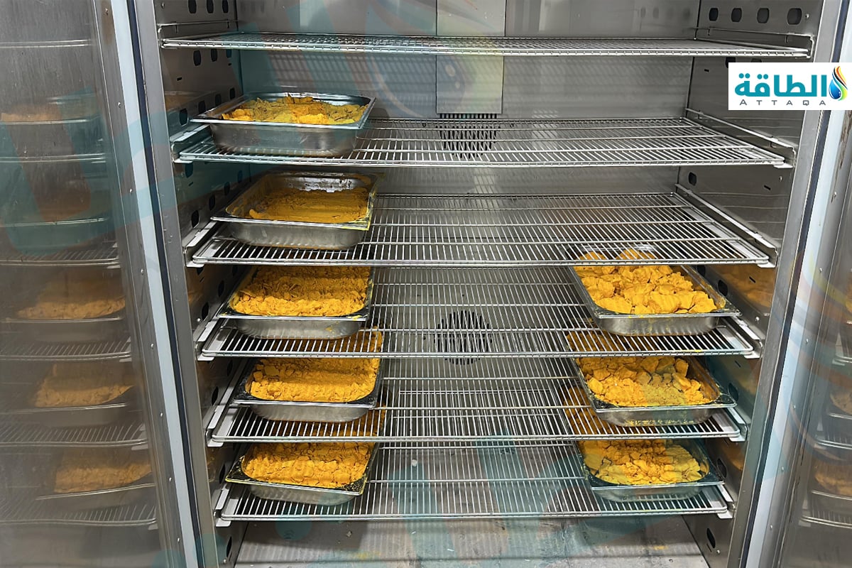 عينات من الكعكة الصفراء الأردنية