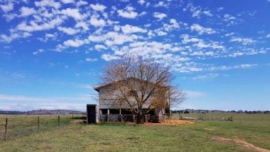 Photo of مشروع طاقة شمسية ينهار في أستراليا