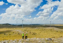 Photo of أكبر مشروع طاقة متجددة في أميركا يبدأ توليد الكهرباء (فيديو)