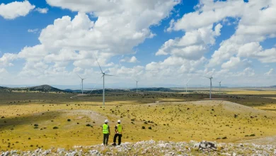 Photo of أكبر مشروع طاقة متجددة في أميركا يبدأ توليد الكهرباء (فيديو)