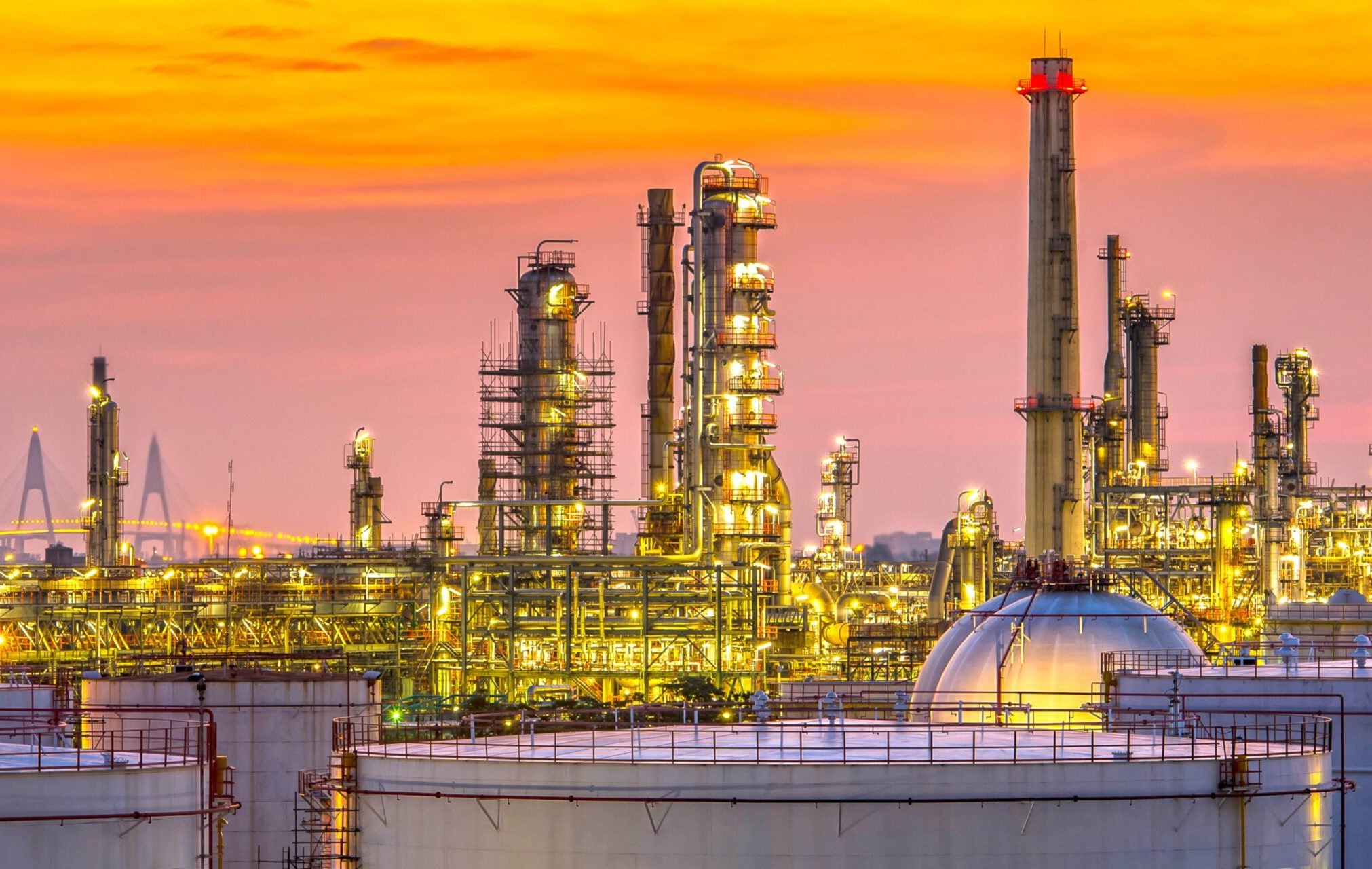 أول مشروع لإنتاج الأسمدة الخضراء في العالم