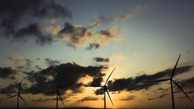 Photo of مشروع طاقة رياح ضخم يحصل على قرار الاستثمار النهائي.. بمشاركة إماراتية