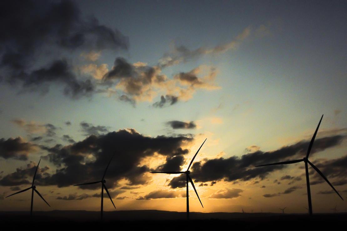 مشروع طاقة رياح ضخم يحصل على قرار الاستثمار النهائي.. بمشاركة إماراتية - الطاقة