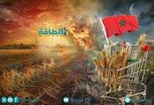 Photo of سوق الأسمدة الأميركية في ورطة بعد حرب إيران.. والأنظار تتجه للمغرب