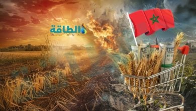 Photo of سوق الأسمدة الأميركية في ورطة بعد حرب إيران.. والأنظار تتجه للمغرب