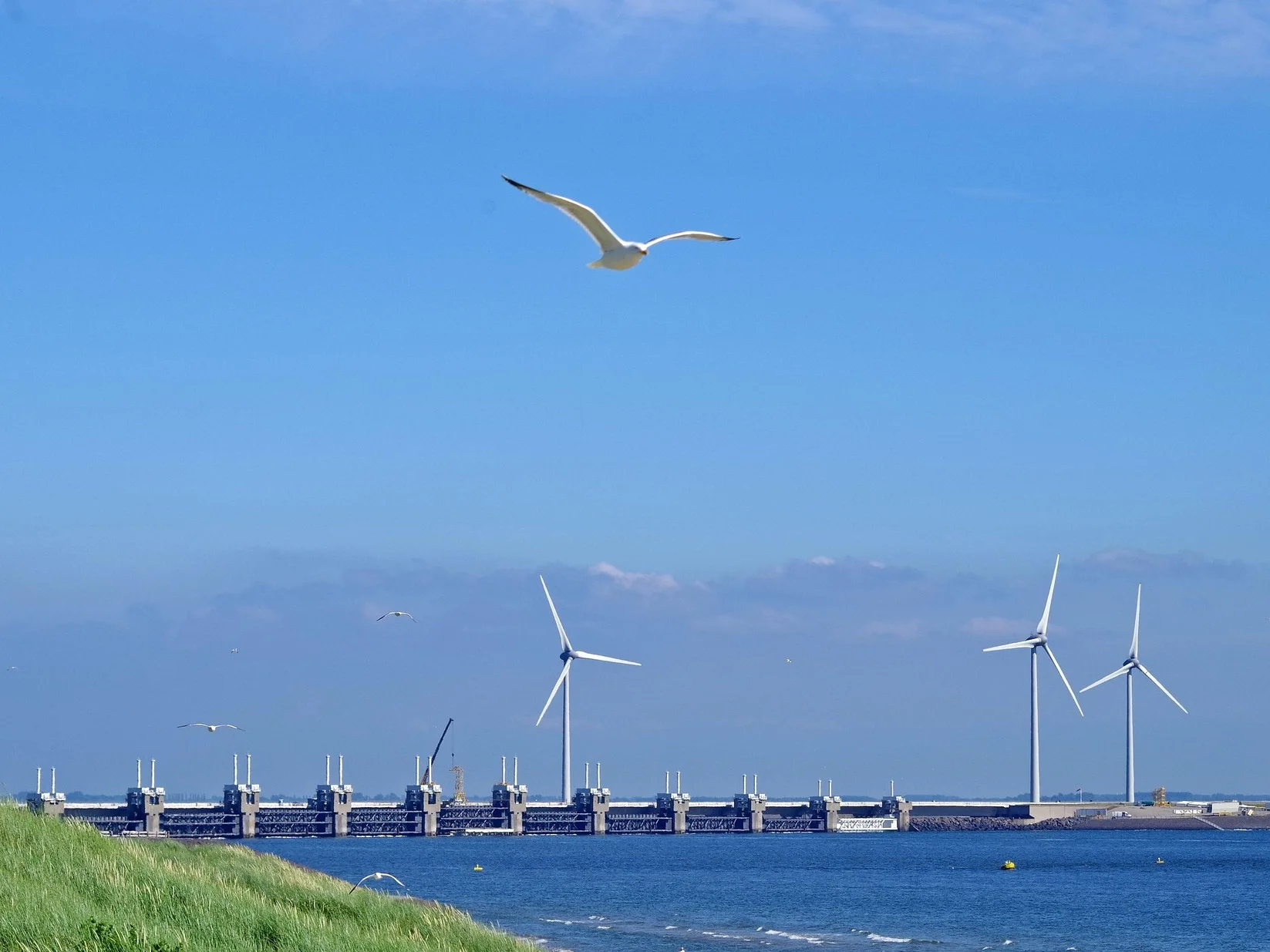 طاقة الرياح البحرية في الصين