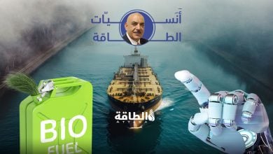 Photo of أنس الحجي: إغلاق مضيق هرمز مؤثر في الذكاء الاصطناعي والوقود الحيوي
