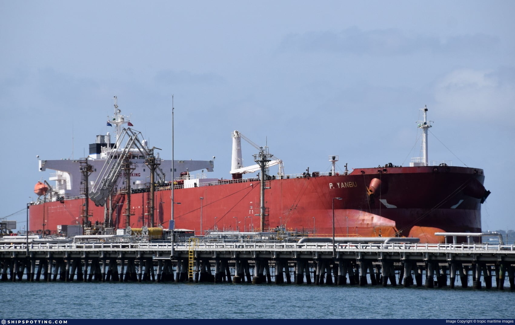 النفط السعودي