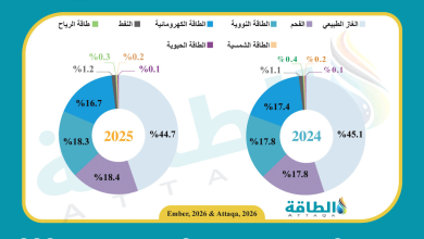 Photo of مزيج توليد الكهرباء في روسيا خلال 2025.. جمود مستمر للطاقة المتجددة (إنفوغرافيك)