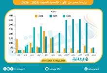 Photo of واردات مصر من الألواح الشمسية الصينية تقفز 383%