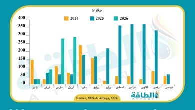 Photo of واردات مصر من الألواح الشمسية الصينية تقفز 383%