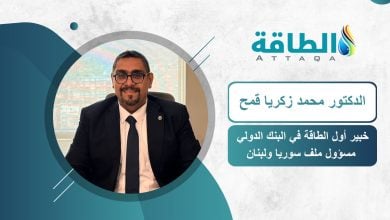Photo of البنك الدولي: ندعم شبكات الكهرباء في سوريا ولبنان.. والطاقة المتجددة ركيزة أساسية (حوار)