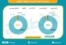 Photo of مزيج توليد الكهرباء في تونس خلال 2025.. الغاز يهيمن (إنفوغرافيك)