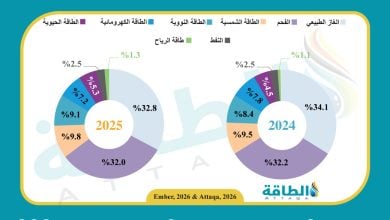 Photo of مزيج توليد الكهرباء في اليابان خلال 2025.. الطاقة النووية تواصل النمو (إنفوغرافيك)