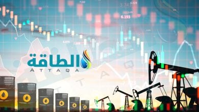 Photo of أغلى أسعار خامات النفط العربية في مايو.. السعودية بالصدارة