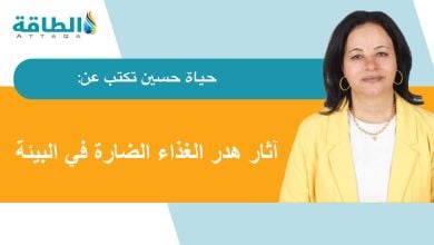 Photo of كيف أكافح تغير المناخ بطريقتي؟.. فطيرة الموز (مقال)
