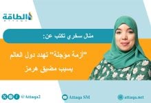 Photo of أزمة مضيق هرمز.. عندما تتحول الجغرافيا السياسية إلى تهديد لأمن الغذاء! (مقال)
