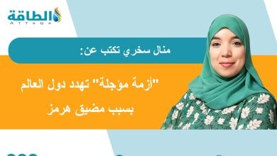 Photo of أزمة مضيق هرمز.. عندما تتحول الجغرافيا السياسية إلى تهديد لأمن الغذاء! (مقال)