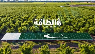 Photo of الطاقة الشمسية الموزعة في باكستان تقود طفرة الكهربة وتقلص واردات الوقود
