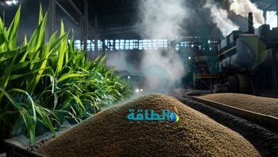 Photo of خبير: سماد الغاز الحيوي حل مستدام لخفض تكلفة الزراعة