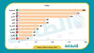 Photo of أكبر الدول العربية المستوردة للألواح الشمسية الصينية.. السعودية تتصدر