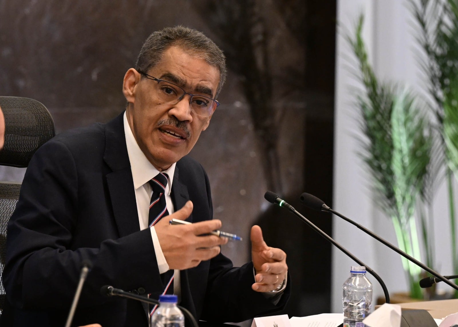 وزير الإعلام المصري، ضياء رشوان 