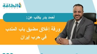Photo of إغلاق باب المندب.. ورقة طهران لتوسيع المواجهة مع العرب والعالم (مقال)