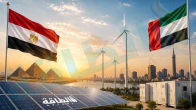Photo of الطاقة المتجددة في مصر.. 3 شركات إماراتية تستحوذ على النصيب الأكبر (مسح)