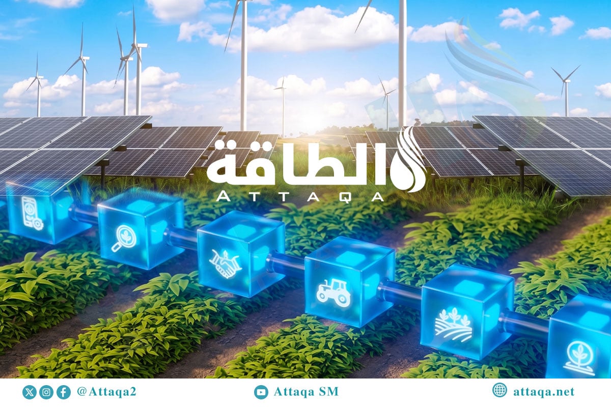 إمدادات الغذاء