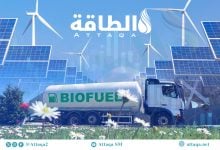 Photo of الغاز الحيوي في مواجهة الطاقة المتجددة.. فجوة التكلفة تفرض إعادة تقييم دوره