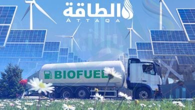 Photo of الغاز الحيوي في مواجهة الطاقة المتجددة.. فجوة التكلفة تفرض إعادة تقييم دوره