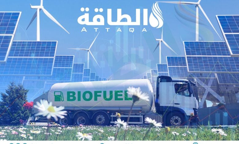 Photo of الغاز الحيوي في مواجهة الطاقة المتجددة.. فجوة التكلفة تفرض إعادة تقييم دوره