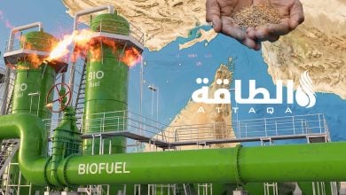 Photo of أزمة هرمز تدفع نحو الوقود الحيوي.. معادلة صعبة بين أمن الطاقة والغذاء (تقرير)