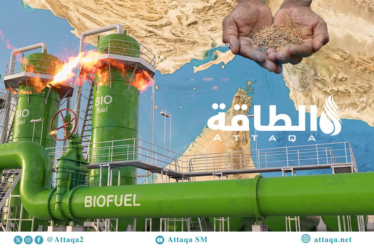 الوقود الحيوي