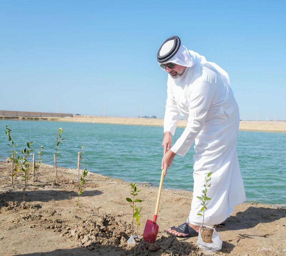 من إحدى فعاليات زراعة نبات القرم
