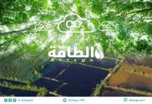 Photo of مصارف الكربون الطبيعية تمتص 40% من انبعاثات البشر سنويًا.. والمخاطر تتصاعد