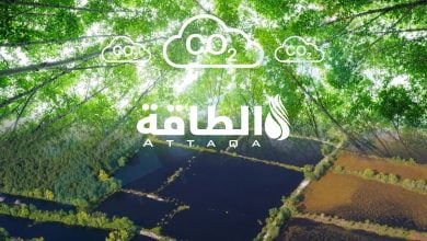 Photo of مصارف الكربون الطبيعية تمتص 40% من انبعاثات البشر سنويًا.. والمخاطر تتصاعد