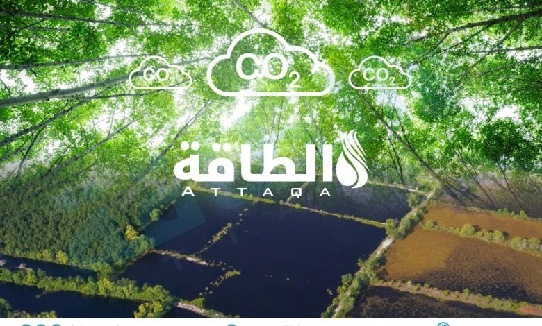 Photo of مصارف الكربون الطبيعية تمتص 40% من انبعاثات البشر سنويًا.. والمخاطر تتصاعد