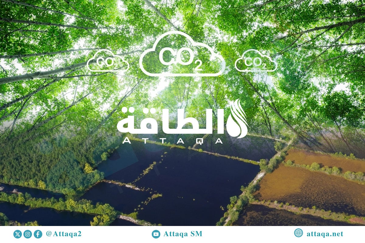 مصارف الكربون الطبيعية
