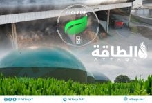 Photo of سوق توليد الكهرباء من الكتلة الحيوية تترقب طفرة.. وفرص لمصر والمغرب (تقرير)