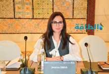 Photo of أرقام قياسية لذروة الكهرباء في 11 دولة.. مصر والجزائر بالصدارة (فيديو)