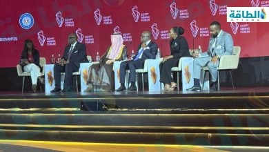 Photo of مسؤولون: قطاع التعدين يتطلب استثمارات وسياسات لتعظيم الثروات المعدنية