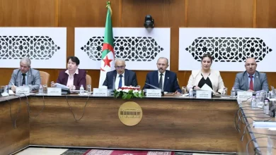 Photo of التنقيب عن المعادن في الجزائر يشهد 16 مشروعًا