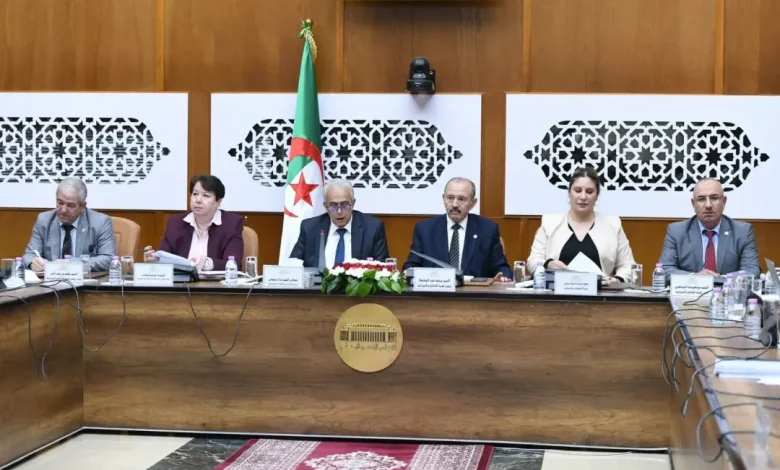 Photo of التنقيب عن المعادن في الجزائر يشهد 16 مشروعًا
