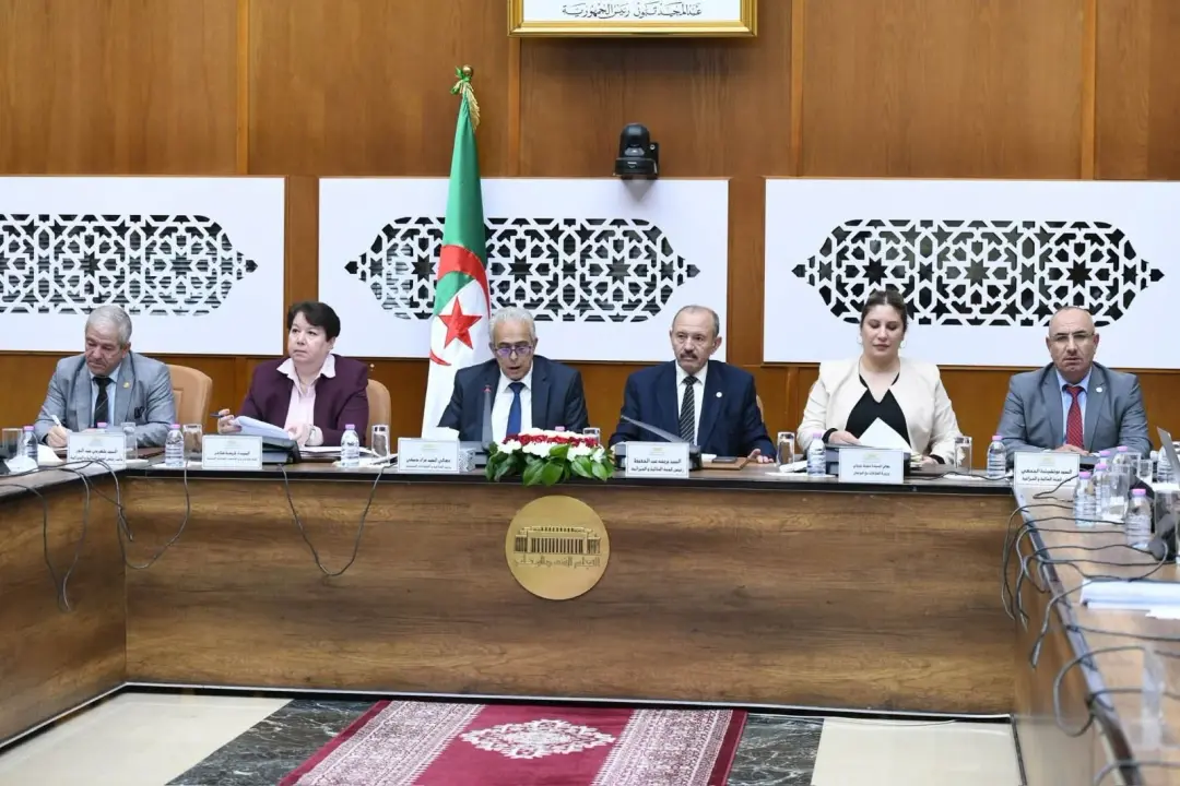 التنقيب عن المعادن في الجزائر