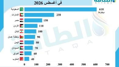 Photo of أكبر 10 دول عربية مستوردة للألواح الشمسية الصينية (إنفوغرافيك)